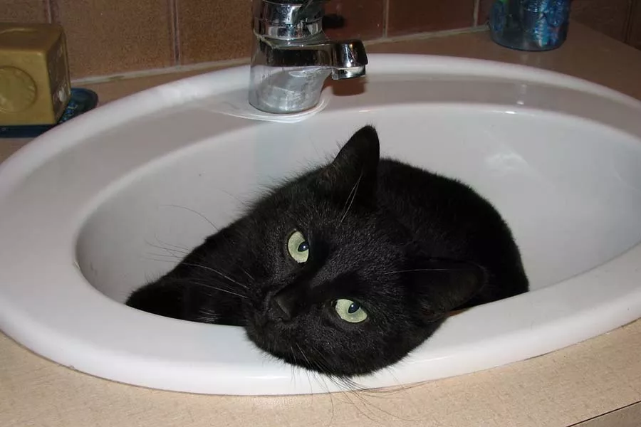 Comment déboucher un lavabo de salle de bains ?